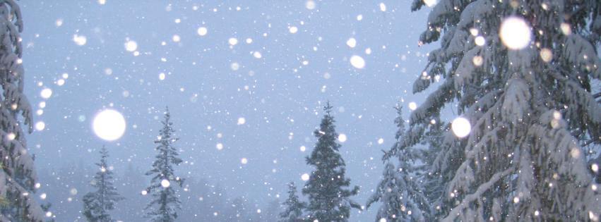 Falling Snow {Scenic & Nature Facebook Timeline Cover Picture, Scenic & Nature Facebook Timeline image free, Scenic & Nature Facebook Timeline Banner}