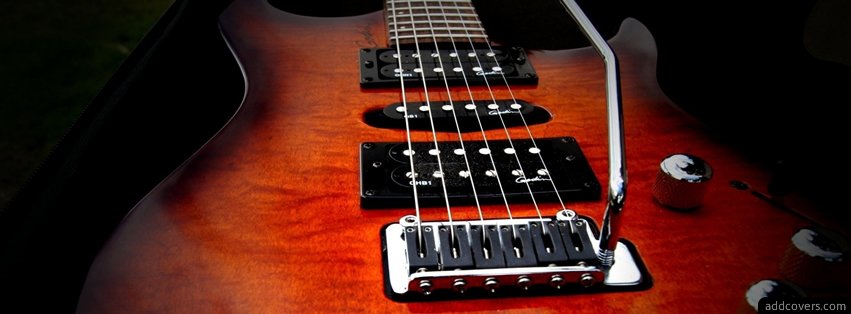 Godin Guitar Facebook Covers