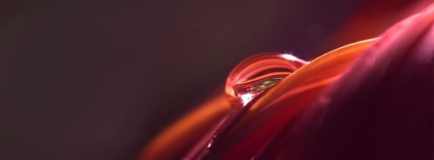 Water Droplet {Colorful & Abstract Facebook Timeline Cover Picture, Colorful & Abstract Facebook Timeline image free, Colorful & Abstract Facebook Timeline Banner}