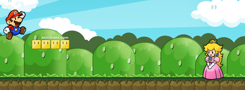 Mario saving the Princess Facebook Covers