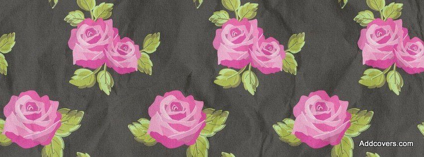 Rose Flowers Cover Photos For Facebook Timeline